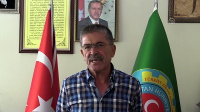 Kayısı Çekirdeği Fiyatları Arttı