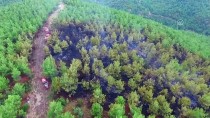 HELIKOPTER - Manisa'da Orman Yangını