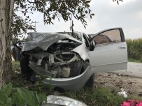 Sakarya'da Otomobil Ağaca Çarptı Açıklaması 3'Ü Ağır 5 Yaralı