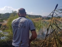 KARAÇAY - Samandağ'da Bitki Örtüsü Yangını