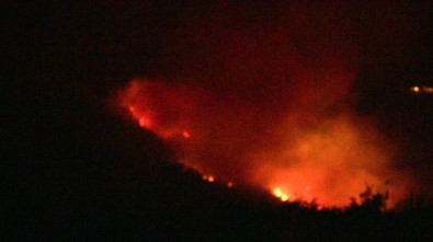 Samandağ'da Orman Yangını