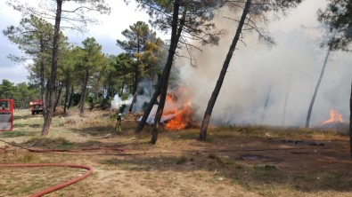 Arnavutköy'de Ormanlık Alanda Yangın