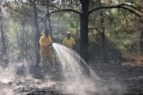 HELIKOPTER - Manisa'daki Orman Yangını