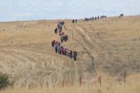 TÜRKIYE DAĞCıLıK FEDERASYONU - (Özel) Polatlı'da Yunan Ordusuna Ait Patlamamış Bir El Bombası Bulundu