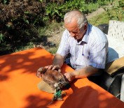 HAYVAN SEVGİSİ - 'Şaşkın'a Gözyaşı