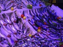 1 EYLÜL - Sezonun İlk Günlerinde En Çok Hamsi Ve Mezgit Tercih Edildi