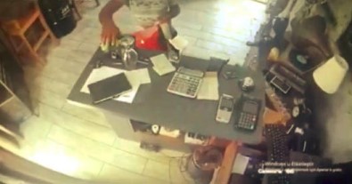 Bahşiş Kutusu Faresi, Gözde Turizm Merkezinin Belalısı Oldu