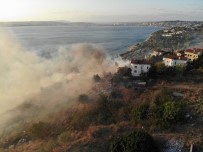 BÜYÜKBAŞ HAYVANLAR - Beylükdüzü'nde Otluk Alanda Yangını Söndürme Çalışmaları Sürüyor