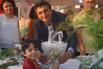 DERNEK BAŞKANI - Festivalde 2 Bin Selvi Fidanı Dağıtıldı