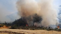 HELIKOPTER - Hatay'da Çıkan Orman Yangını Kontrol Altına Alındı