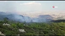 MAKİLİK ALAN - KKTC'de Orman Yangını Kontrol Altına Alındı