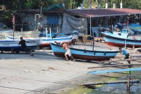 SU ÜRÜNLERİ - (Özel) Balıkçılar Umduklarını Bulamayınca Tekneler Limanda Bağlı Kaldı