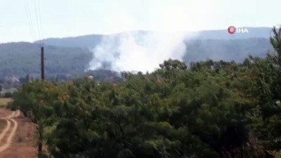 GÜNCELLEME - Muğla'da Orman Yangını