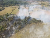 HELIKOPTER - Muğla'da Orman Yangını