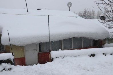 Bitlis'te Tek Katlı Evler Kara Gömüldü 40 Köy Yolu Ulaşıma Kapandı