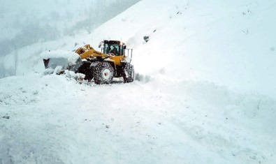 Siirt'te Kardan Kapanan Grup Köy Yolları Ulaşıma Açıldı