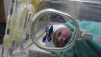 HASTA YAKINI - Yılın İlk Bebeğinin Doktor Babası Heyecandan Koyduğu İsmi Unuttu