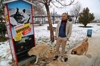 SEYIT RıZA - Boks Makinesinden Esinlendi, Sokak Hayvanları İçin Mamamatik Yaptı
