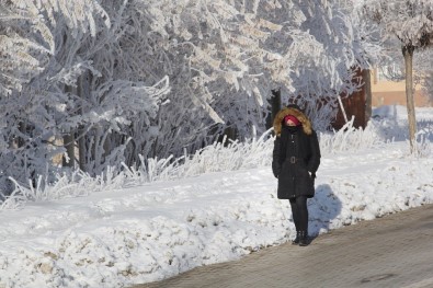 Doğu Anadolu'da Dondurucu Soğuklar Etkili Oluyor