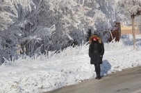 METEOROLOJI - Doğu Anadolu'da Dondurucu Soğuklar Etkili Oluyor
