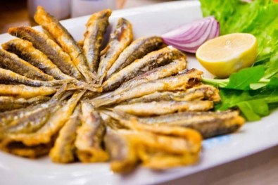 Hayde Hamsi Festivaline