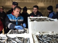 KÖPEKBALIĞI - İstanbul Boğazı'nda Ve Balık Halinde Şok Denetim
