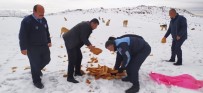 SARAYCıK - Sincan Belediyesi Soğuk Havada Sokak Hayvanlarını Unutmadı