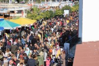 Bodrum'da 1 Kilometrelik Hamsi Kuyruğu