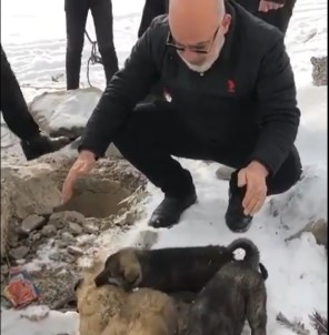 Su Kuyusuna Düşen Yavru Köpekleri İtfaiye Ekibi Kurtardı