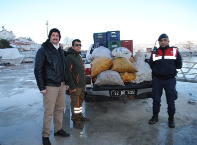 Eğirdir'de Kaçak Avlanan 700 Kilogram Kerevit Göle Bırakıldı
