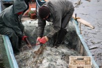 BEYŞEHIR GÖLÜ - Göle Serilen Ağlar Buz Tuttu, Balıkçıların Mesaisi Zorlaştı