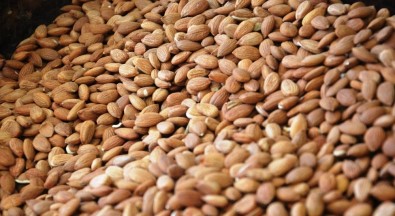 Kayısı Çekirdeği, ABD'nin Bademine Rakip