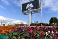 Mersin Büyükşehir Belediyesi, Çiçek Dikimine Devam Ediyor
