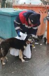 (Özel) Temizlik İşçisi Yağmurdan Islanan Köpeği Kuruladı, İçleri Isıttı