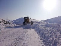 YOLCU MİNİBÜSÜ - Siirt'te Kar Esareti Devam Ediyor
