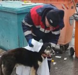 TEMİZLİK İŞÇİSİ - Temizlik İşçisi Yağmurdan Islanan Köpeği Kuruladı, İçleri Isıttı