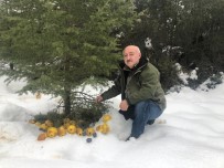 KAR YAĞıŞı - Antalya'da Yaban Hayatı Kış Yemlemesi