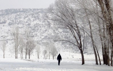 Bitlis'te Dondurucu Soğuklar