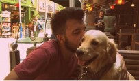 EVLAT ACISI - Eski Sevgililerin 'Paylaşılamayan Köpek' Davasında Emsal Karar Verildi