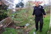 ŞELALE - 'İnsanlara Zarar Verse Daha Mı İyi Olacak' Deyip, Köpeği Bıçaklayarak Öldürdü
