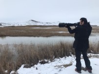 Sivas'ta Kış Ortası Kuş Sayımı Yapıldı