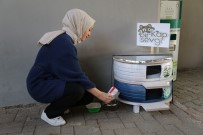 ACARLAR - Üniversite Öğrencileri Hurda Lastiklerden Kedilere Yuva Yaptı