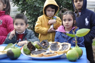 Dalından Çikolata Toplayıp Ekmeğe Sürüp Yediler