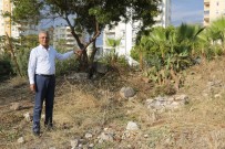KAMULAŞTIRMA - İş Adamı Şifan, Aratos'un Mezarının Bulunduğu Alanı Mezitli Belediyesine Bağışladı