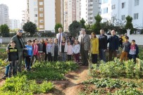 HOBİ BAHÇESİ - Mezitli Belediyesi Çocuk Hobi Bahçesinde Hasat Sevinci