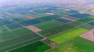 'TARSİM' Kapsamında Çiftçiye 13,5 Milyon TL Devlet Desteği