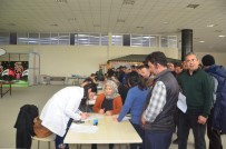 İŞ GÜVENLİĞİ - Ereğli Belediyesinden İş Sağlığı Ve Güvenliği Eğitimi