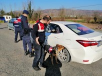 UYUŞTURUCU - Jandarmadan 53 Ekiple Narkotik Uygulaması