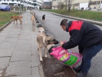 MALTEPE BELEDİYESİ - Maltepe'deki Can Dostlara Bin 500 Kilogram Mama