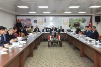 REHABİLİTASYON MERKEZİ - Şanlıurfa'da Uyuşturucuyla Mücadele Toplantısı